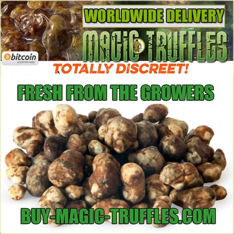 The Origins and History of Magic Truffles Online